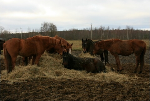 Training in Estonia 11/2007